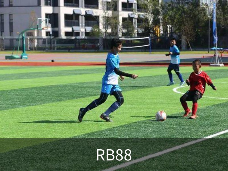 RB88介绍